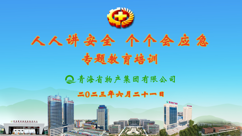 提高安全管理水平 落實(shí)全員安全責(zé)任——集團(tuán)安委會(huì)舉辦2023年“人人講安全，個(gè)個(gè)會(huì)應(yīng)急”專(zhuān)題教育培訓(xùn)