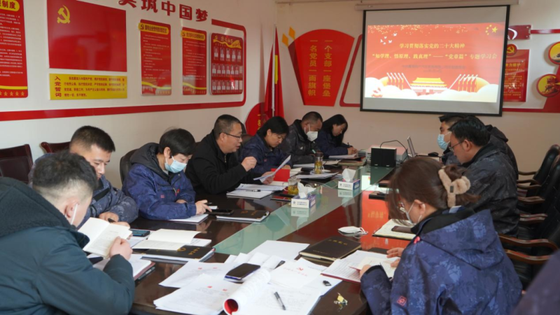 物產(chǎn)汽貿(mào)黨支部召開“知學理、悟原理、踐真理” ——黨章篇”專題學習會